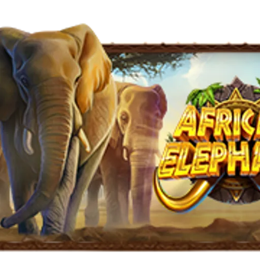 African Elephant™ by Pragmatic Play official game cover